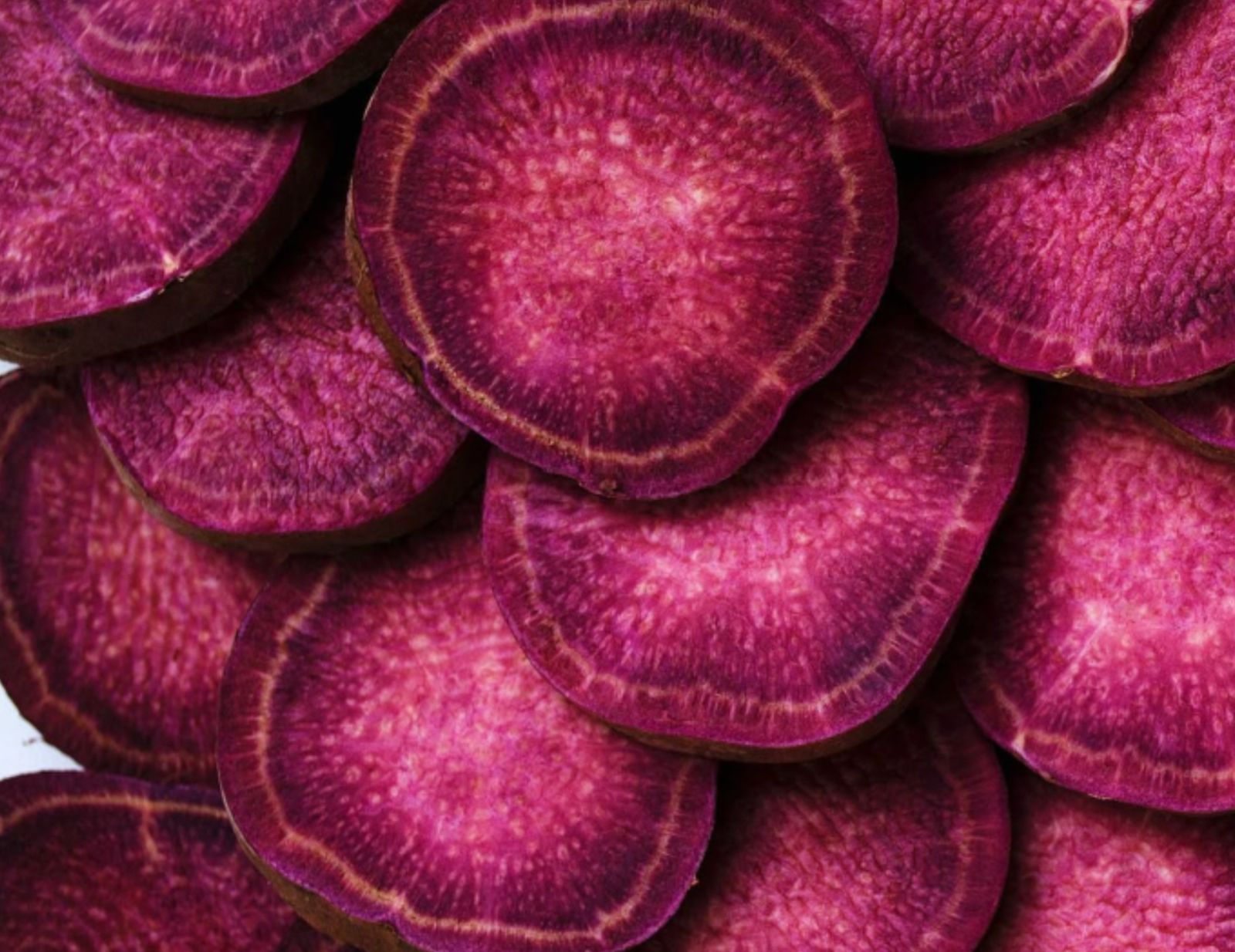 Rodajas de remolacha bordó apiladas — textura y color de la firma Beet & Bloom
